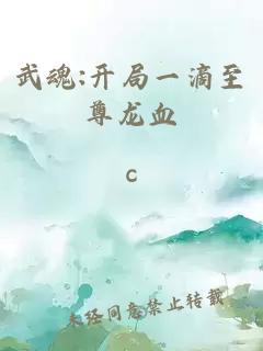武魂:开局一滴至尊龙血