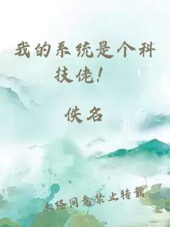 我的系统是个科技佬！